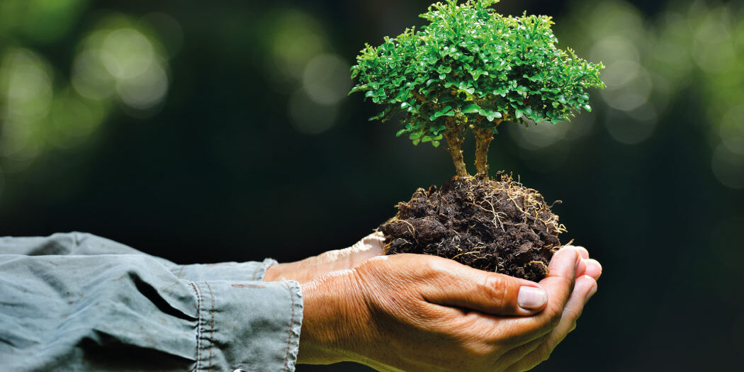 politica-ambiente politica-ambiente